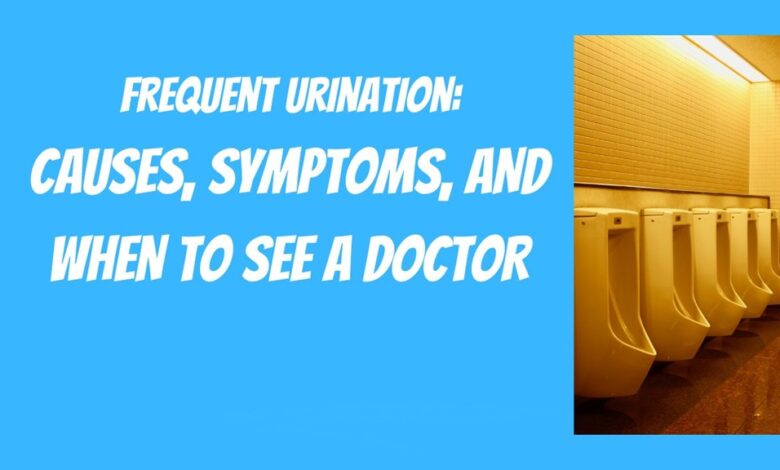 Frequent Urination Causes, Symptoms, and When To See A Doctor