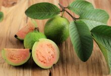 health benefits of guava leaves